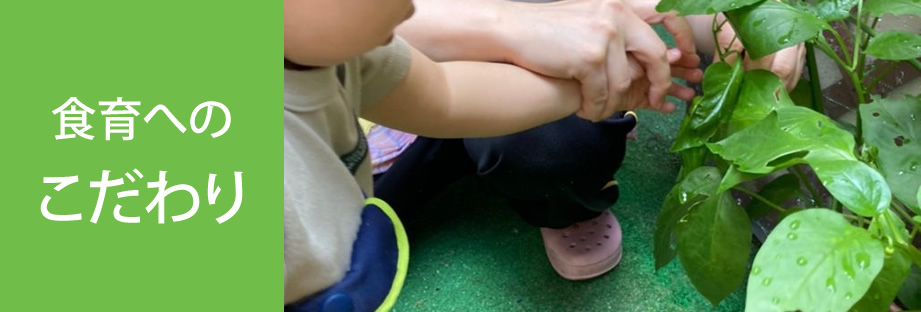 食育へのこだわり